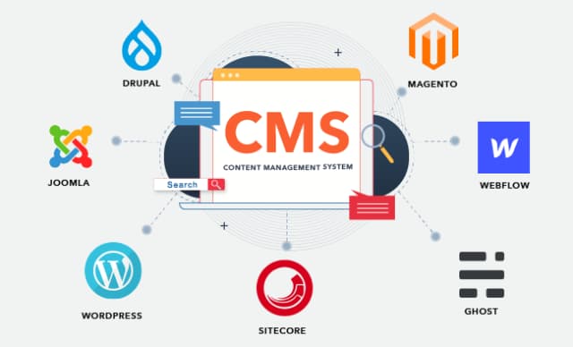 CMS Development Mockup